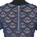 Sanctuary | Medium | Navy Blue Eyelash Lace Nude Lined Short Sleeve Shift Dress Photo 3