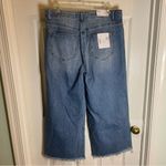 Vervet NEW  Distressed Wide-Leg Olivia Jeans Size 29 chic retro trendy baggy Photo 4