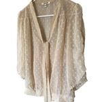 Daniel Rainn  Sheer Top With Attached Camisole Photo 0