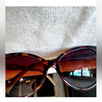 Tortoiseshell Style Cat Photo 4