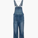Madewell Tall Skinny Overalls in Jansing Wash Photo 1