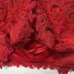 Tadashi Shoji  Flame Queen‎ Anne Neckline Open Back Corded Lace Tulle Dress Red 6 Photo 4