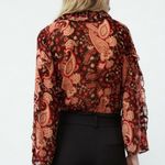 ZARA  ruffle paisley blouse bodysuit size M Photo 9