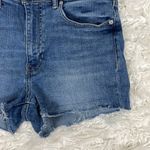 Banana Republic  Premium Denim High Waisted Shorts Photo 1