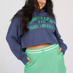 Aerie  Blue Brooklyn Track & Field Graphic Hoodie Sz L Photo 0