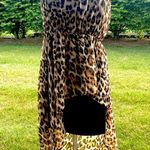 Forever 21  Animal Print Hi-lo Strapless Dress Photo 1