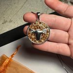 Rhinestone Texas Longhorn Round Pendant Silver Tone Chain Necklace NWOT Photo 3