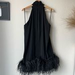 16Arlington Dress Feather Trim Black Cynthia Mini Dress Size US‎ 10 UK 14 Photo 6