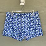 Abercrombie & Fitch Blue Pansy Flower Allover Floral Shorts Teen Womens 00 24 Photo 0