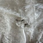 Sue Wong Vintage Beaded Strapless Lace Evening Dress Size 10 NWT Photo 11