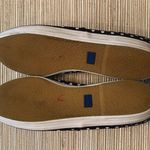 Keds Navy Polkadot Sneakers Photo 4