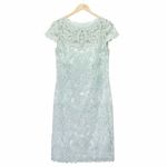 Tadashi Shoji Mint Green Lace Cap Sleeve Dress Size 12 Embroidered Cocktail Photo 2