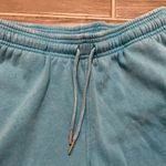 Nickelodeon  logo fleece pull on shorts size small Photo 3