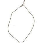 Capricorn Horoscope Sign Charm Pendant Necklace Silver Photo 1