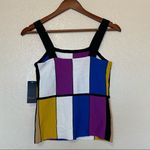 Rachel Roy RACHEL  Massima Multicolor Block Tank XS Photo 3