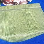 Clinique Green Faux Snake Skin Zippered Travel Cosmetics Makeup Pouch Bag Case. Photo 0