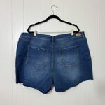 Sofia Vergara Lila High Rise Short Women Blue Size 24W NWT Photo 3