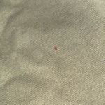 Champion  green Crewneck Sweater crew sweatshirt Photo 3