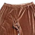 SKIMS  Velour Jogger Pants Luxe Loungewear Size 4X Photo 3