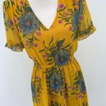 Madewell Sweetgrass Ruffle-Sleeve Dress in Painted Blooms Photo 4