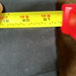 Calvin Klein Black 2 Button Jacket With Pockets Metal Buttons SZ 8 Good … Photo 11