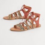 Buckle HPx2🎉NWT Cheetah Gladiator Sandals Photo 1