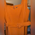 Banana Republic  Rust Dress Photo 3