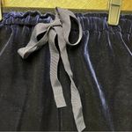 Club Monaco NWOT  Velvet Skirt- Large Photo 3