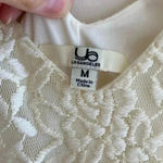 YA Los Angeles Cream Lace & Tulle Dress, Bridal Shower Dress, Size Medium Photo 4