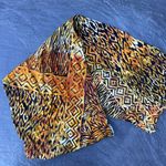 Chico's Beautiful  scarf / belt Photo 2