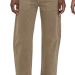 Madewell Non Denim Utility Darted Barrel Pants in Safari Khaki Women’s 25 Petite Photo 0
