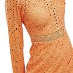 LIONESS  Eyelet Cutout High Neck Mini Dress Women's XL Orange Lace Party Cocktail Photo 0