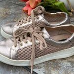 Steve Madden  Neon Napa Mesh Rose Gold Lace Up Sneaker Shoes Size 6 Photo 0