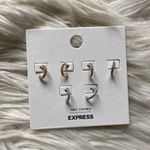 EXPRESS huggie hoops earring set Photo 0
