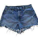 Alexander Wang  Bite Denim Shorts Photo 0