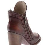 FREEBIRD by Steven  - Bowie - Rust rare! Photo 3