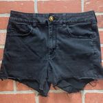 American Eagle  black hi rise Jean shorts Photo 0