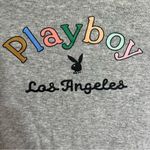 PacSun Playboy by Women's Medium Gray Crop Top Long Sleeve Lettuce Hem Photo 1