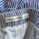 Bishop and Young  Shorts Striped Flared Blue S High Waist Preppy Weekend Vacation Photo 10