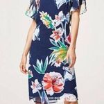 Esprit NWOT  Printed Chiffon Dress with Frilled Sleeves Knee length Size 6 Photo 0