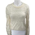 ZARA Women's Cream White Lace Crochet Long Sleeve Crewneck Sheer Sweater Top M Photo 0