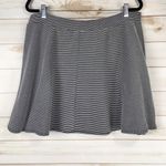 Joe Benbasset  Striped Circle Skirt Photo 1