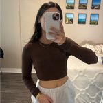 ZARA  Chocolate Brown Long Sleeve Crop Top Photo 5