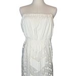 Line and Dot Strapless Lace Maxi Dress Photo 2