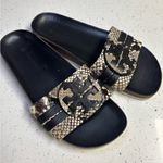 Tory Burch  Anatomic Roccia Slide Snakeskin Black Slide Sandals 8.5 Photo 5