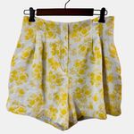 Ann Taylor  Women’s Fruit Print Dress Shorts Size 6 Photo 0
