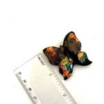 Butterfly brooch Black Photo 3