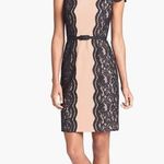 Ivy & Blu Maggy Boutique Lace Trim Ponte Knit Sheath Dress Tan Size 6 Photo 0