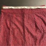 Sugar Lips Red Lace Mini Pencil Skirt Women’s Size S Photo 3