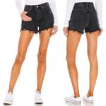 AGOLDE  Parker Denim Cut Off Shorts Photo 1